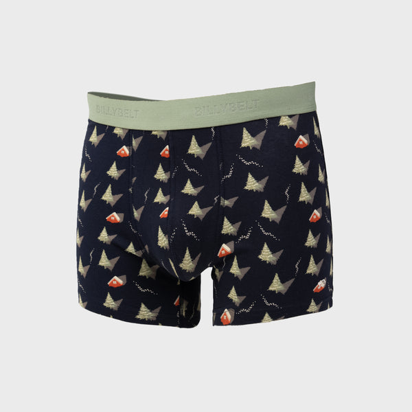 Boxer fantaisie en coton biologique