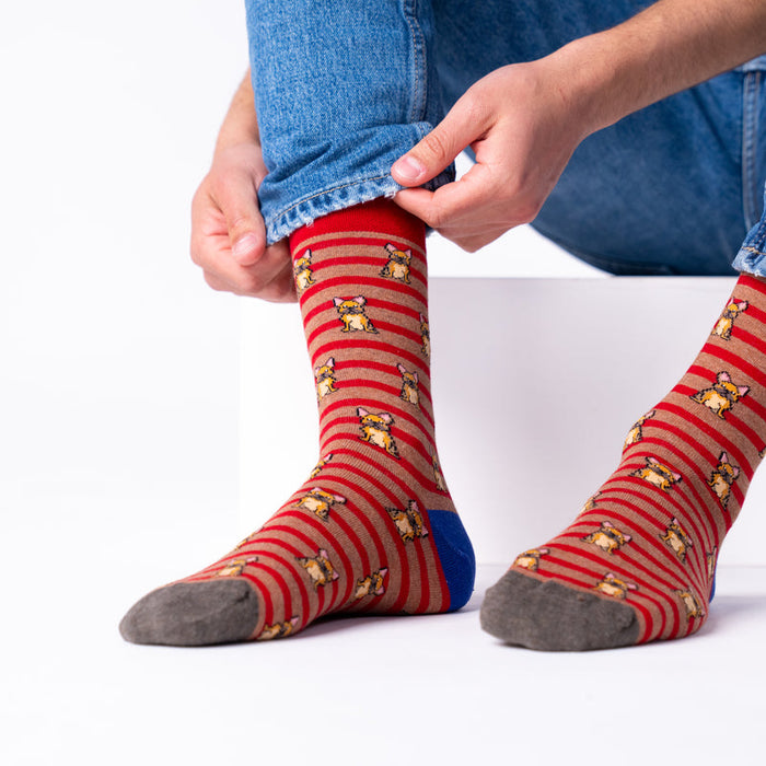 CHAUSSETTES EN COTON PEIGNÉ - Fantaisie