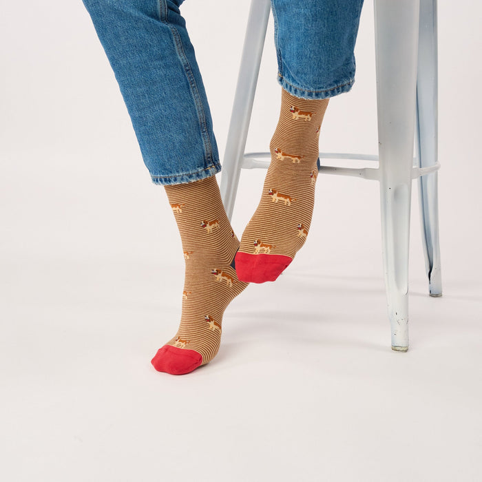 CHAUSSETTES EN COTON PEIGNÉ - Fantaisie