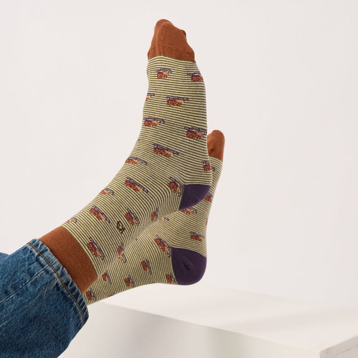 CHAUSSETTES EN COTON PEIGNÉ - Fantaisie