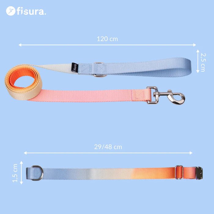 Ensemble collier et laisse « Gradient »