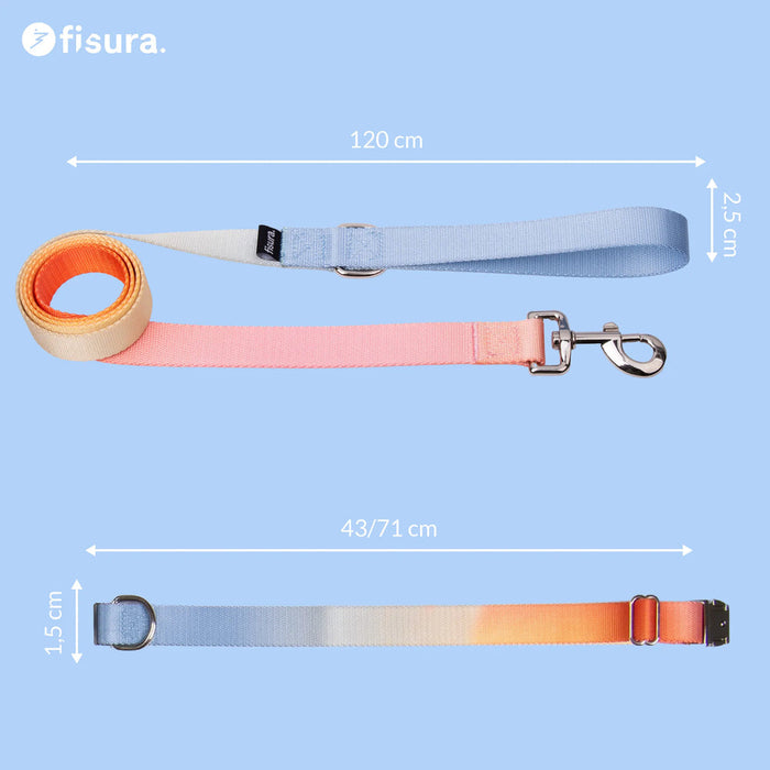 Ensemble collier et laisse « Gradient »