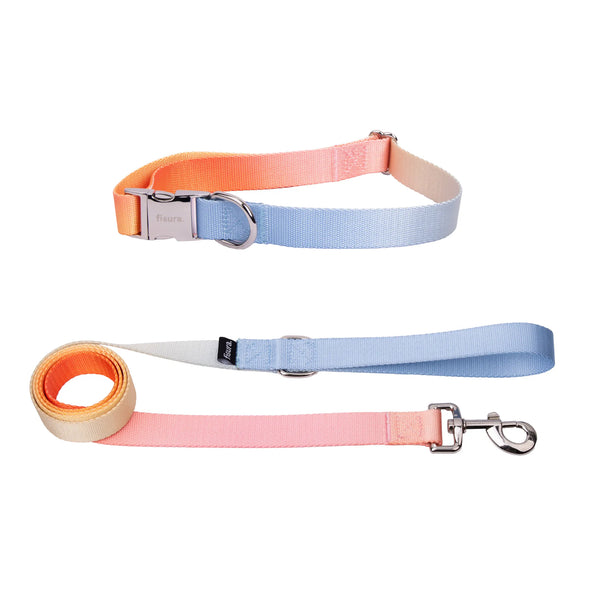 Ensemble collier et laisse « Gradient »