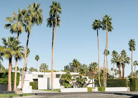 Affiche Palm Springs - House par DAVID & STUDIO • affiche, architecture, couleur, europe, fabriqué