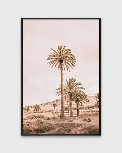 Affiche Pink Oasis par DAVID & STUDIO • affiche, architecture, couleur, europe, fabriqué à la main