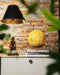 Monogramme par COMRADE BERLIN • balle, ballon, basket, NEW, original