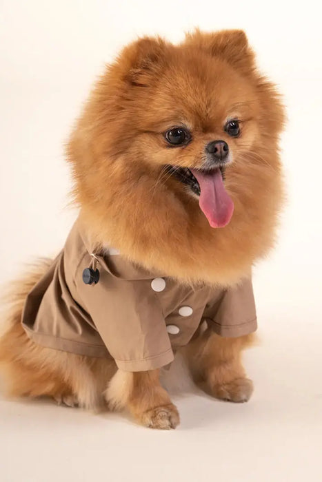 BOULOGNE - IMPERMÉABLE POUR CHIEN - UNISEXE par FLOTTE • 90’S, Amour, BACK TO SCHOOL, Coeur, Femme
