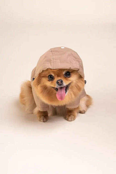 BOULOGNE - IMPERMÉABLE POUR CHIEN - UNISEXE par FLOTTE • 90’S, Amour, BACK TO SCHOOL, Coeur, Femme