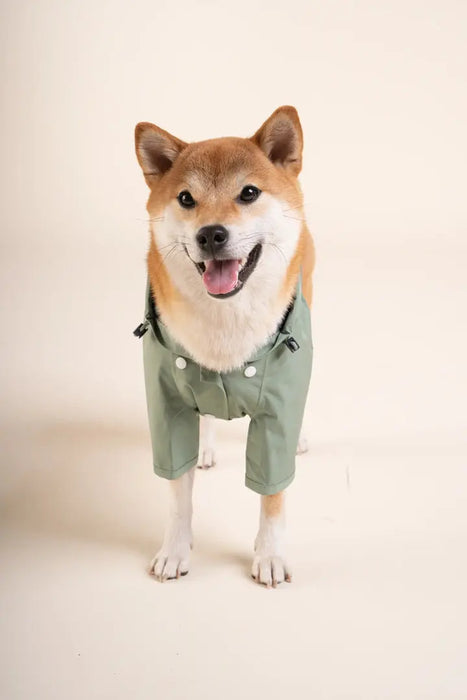 BOULOGNE - IMPERMÉABLE POUR CHIEN - UNISEXE par FLOTTE • 90’S, Amour, BACK TO SCHOOL, Coeur, Femme