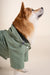BOULOGNE - IMPERMÉABLE POUR CHIEN - UNISEXE par FLOTTE • 90’S, Amour, BACK TO SCHOOL, Coeur, Femme