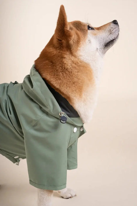 BOULOGNE - IMPERMÉABLE POUR CHIEN - UNISEXE par FLOTTE • 90’S, Amour, BACK TO SCHOOL, Coeur, Femme