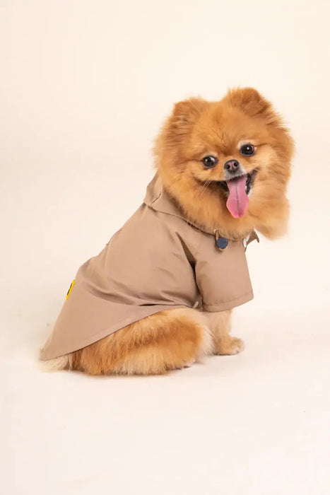 BOULOGNE - IMPERMÉABLE POUR CHIEN - UNISEXE par FLOTTE • 90’S, Amour, BACK TO SCHOOL, Coeur, Femme