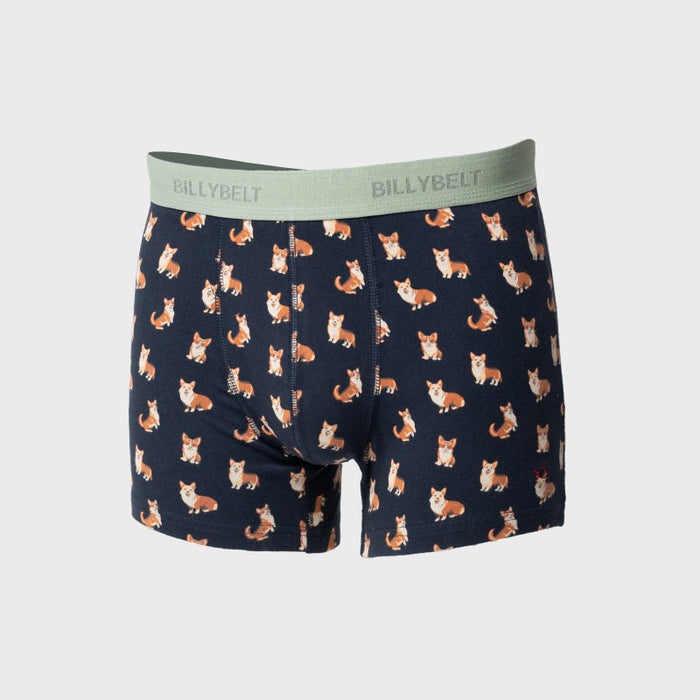 Boxer fantaisie en coton biologique