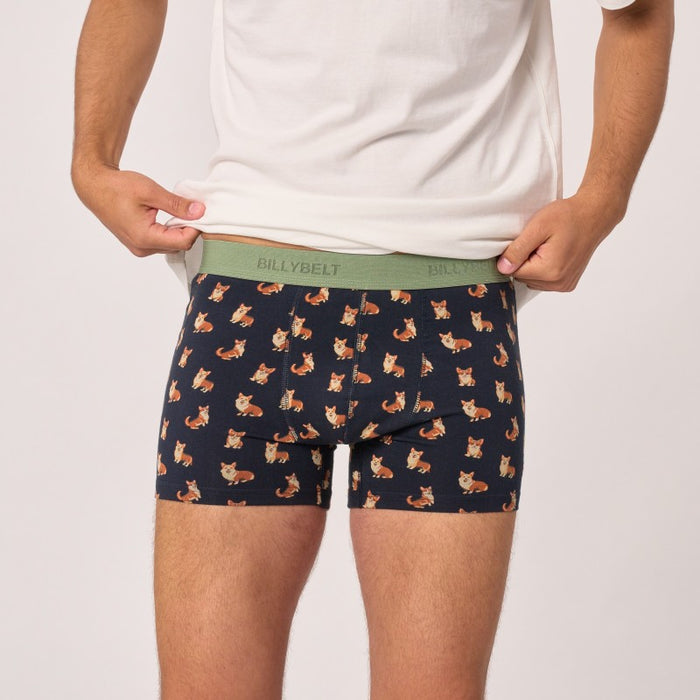 Boxer fantaisie en coton biologique