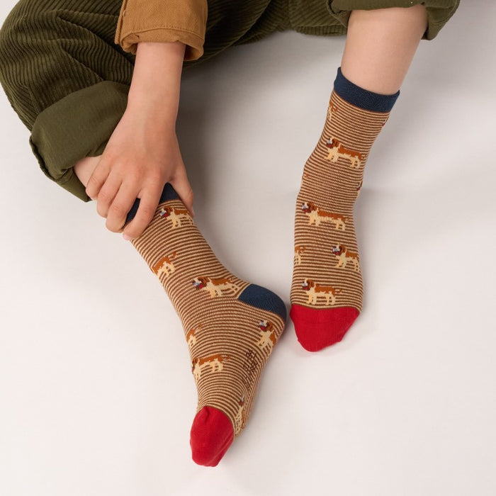 CHAUSSETTES KIDS EN COTON PEIGNÉ - Fantaisie