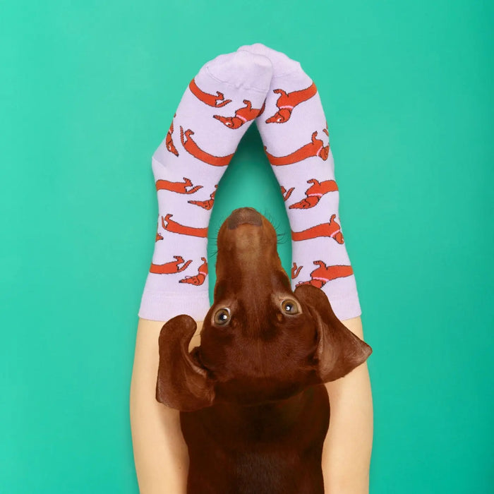 CHAUSSETTES TECKEL par COUCOU SUZETTE • accessoire, Accessoires Mode Femme, beau, cadeau, chaussette