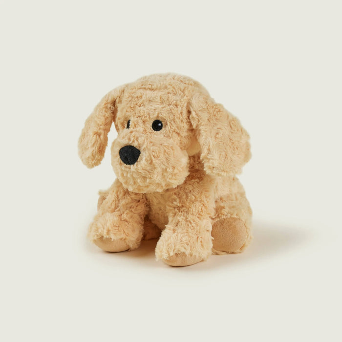 Chien bouclé bouillotte Warmies par Collection PREMIER ETAGE • doudou, NEW, SOFRAMAR