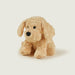 Chien bouclé bouillotte Warmies par Collection PREMIER ETAGE • doudou, NEW, SOFRAMAR