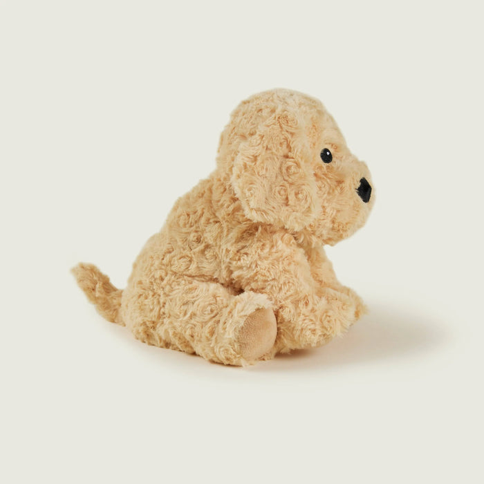 Chien bouclé bouillotte Warmies par Collection PREMIER ETAGE • doudou, NEW, SOFRAMAR