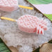 Fruit Salad Pop Moulds par SUNNYLIFE • glace, ice cream, SUMMER, Summertime