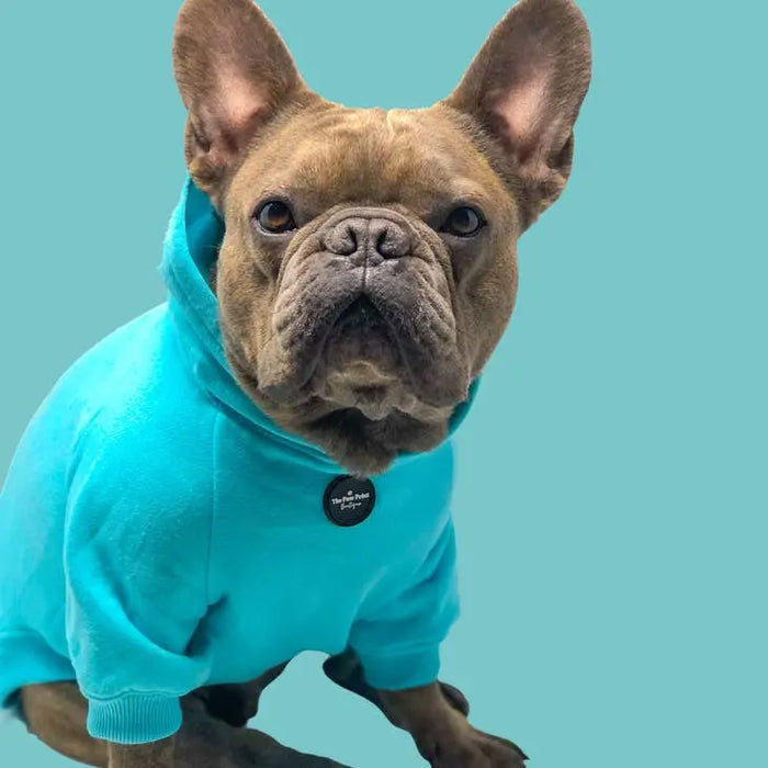 HOODIE (plusieurs coloris) par THE PAW PRINT BOUTIQUE • -30%, animaux, CHIEN, CHIOT, fashion