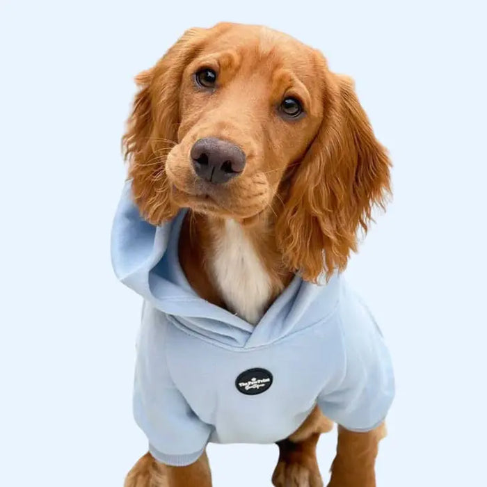 HOODIE (plusieurs coloris) par THE PAW PRINT BOUTIQUE • -30%, animaux, CHIEN, CHIOT, fashion