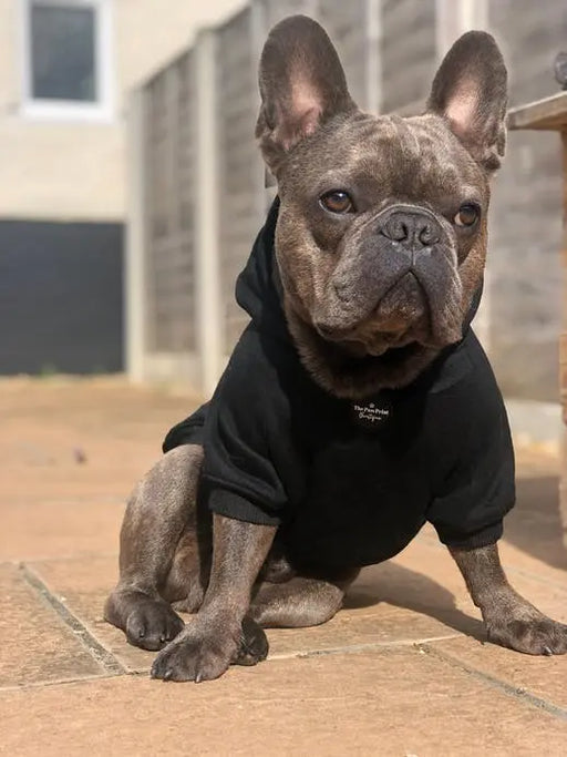 HOODIE par THE PAW PRINT BOUTIQUE • -30%, animaux, CHIEN, CHIOT, fashion