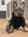 HOODIE par THE PAW PRINT BOUTIQUE • -30%, animaux, CHIEN, CHIOT, fashion