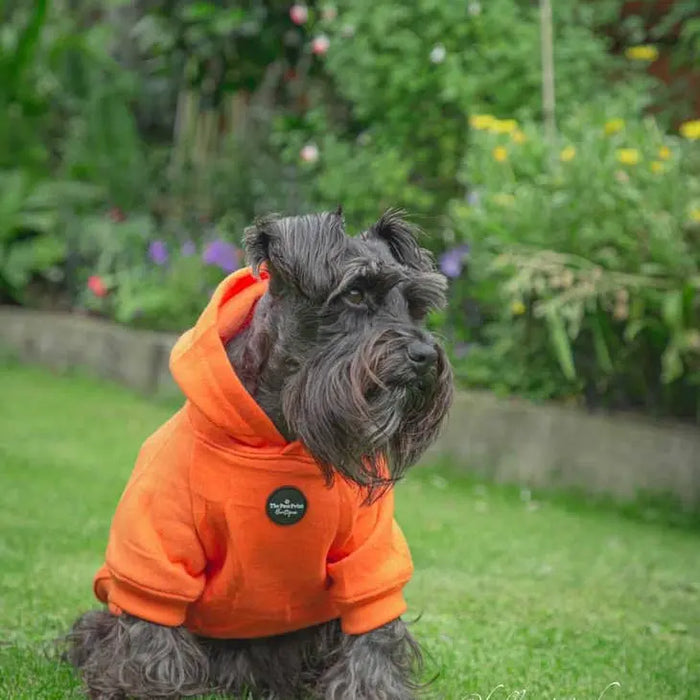 HOODIE (plusieurs coloris) par THE PAW PRINT BOUTIQUE • -30%, animaux, CHIEN, CHIOT, fashion