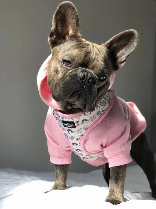 HOODIE par THE PAW PRINT BOUTIQUE • -30%, animaux, CHIEN, CHIOT, fashion