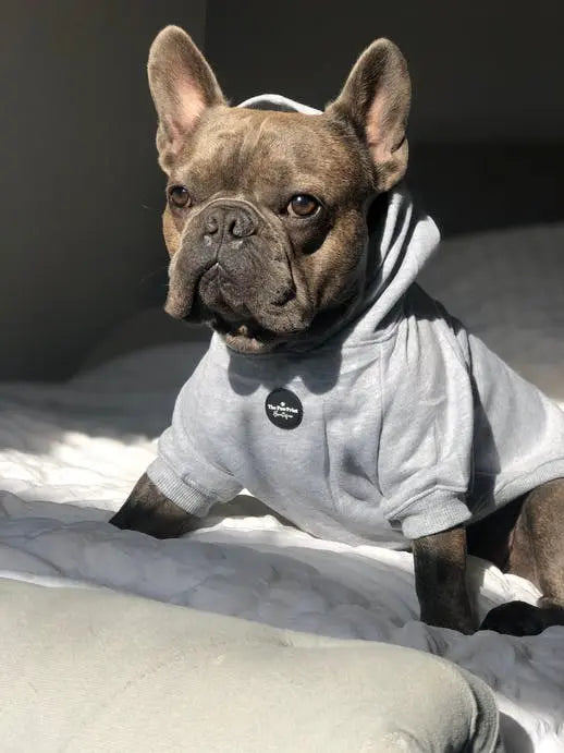 HOODIE par THE PAW PRINT BOUTIQUE • -30%, animaux, CHIEN, CHIOT, fashion