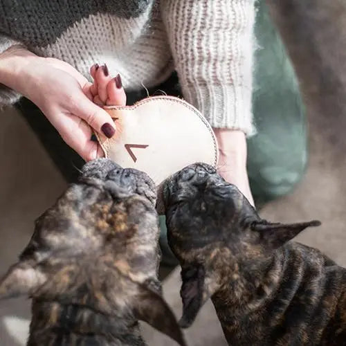 JOUETS CHIEN ET CHAT EN CUIR VÉGÉTAL par CHICHI PETZEL • ALSACE, ANIMAUX, CHAT, CHIEN, environnement