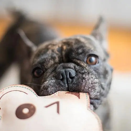 JOUETS CHIEN ET CHAT EN CUIR VÉGÉTAL par CHICHI PETZEL • ALSACE, ANIMAUX, CHAT, CHIEN, environnement