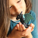 KIT CREATIF - LES DRAGONS par L’ATELIER IMAGINAIRE • activité, beau, coloriage, colorier, enfant