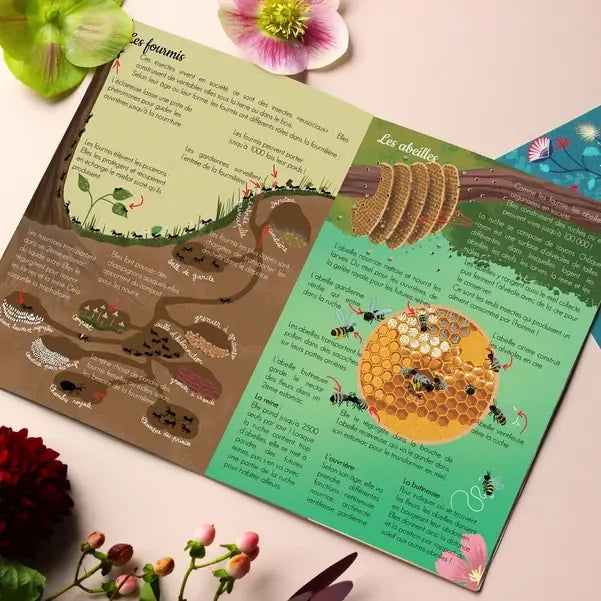 KIT CREATIF - LES INSECTES par L’ATELIER IMAGINAIRE • activité, beau, coloriage, colorier, enfant