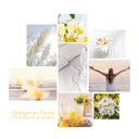 RECHARGE LESSIVE ORANGER EN FLEURS HYPOALLERGÉNIQUE - 5L -