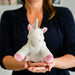 Peluche Licorne Juniors - Bouillotte par Collection PREMIER ETAGE • doudou, FROID, NEW, SOFRAMAR