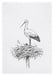 TORCHON - CIGOGNE gris par 17;30 • ALSACE, CHRISTMAS, COOK AND YOU, ECO FRIENDLY, ETUI